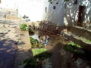 Algerie avril2005 058